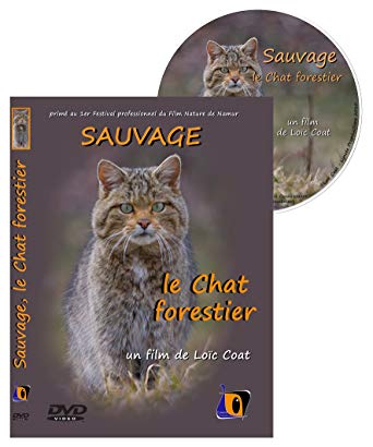 Sauvage, le chat forestier